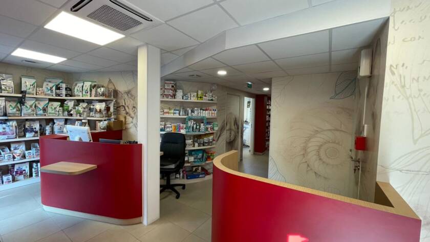 Vue intérieure de l'accueil d'une clinique vétérinaire à Rueil-Malmaison (92)