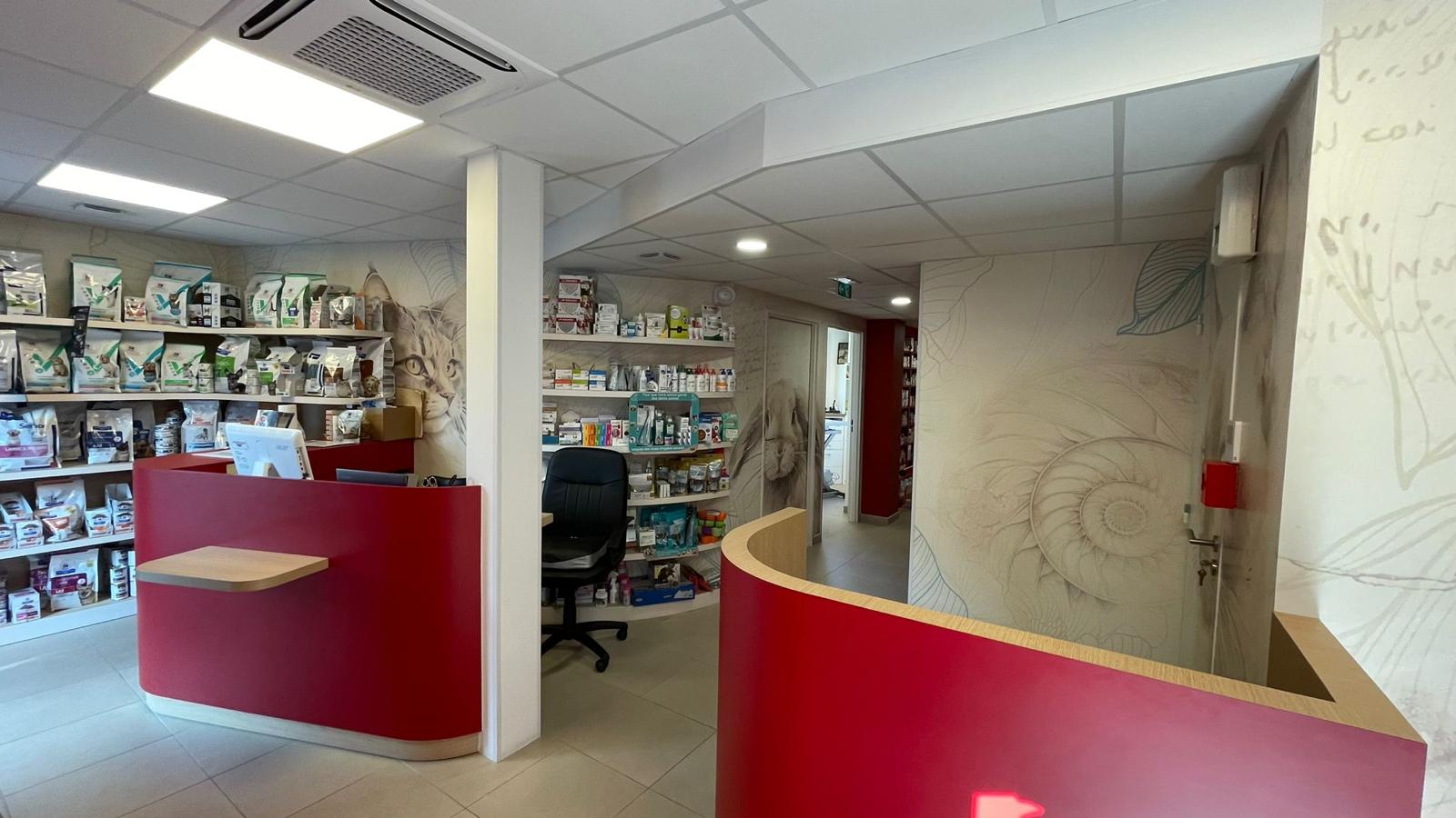 Vue intérieure de l'accueil d'une clinique vétérinaire à Rueil-Malmaison (92)
